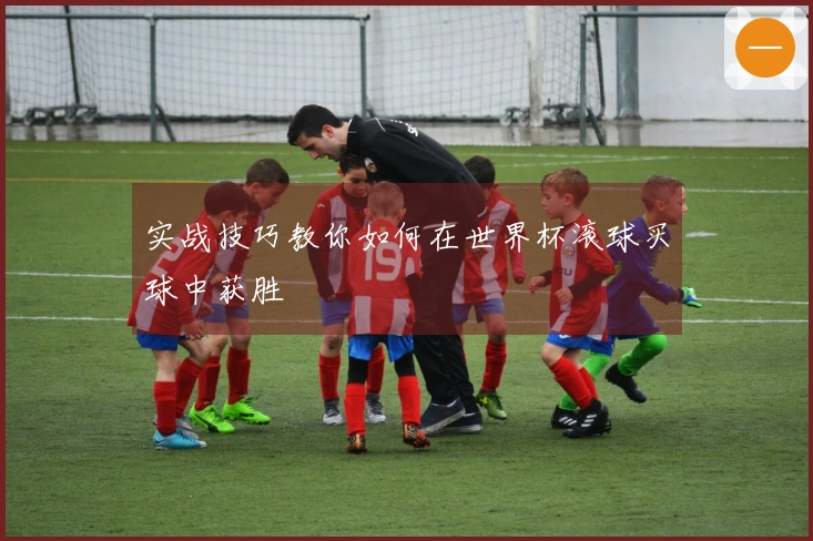 实战技巧教你如何在世界杯滚球买球中获胜