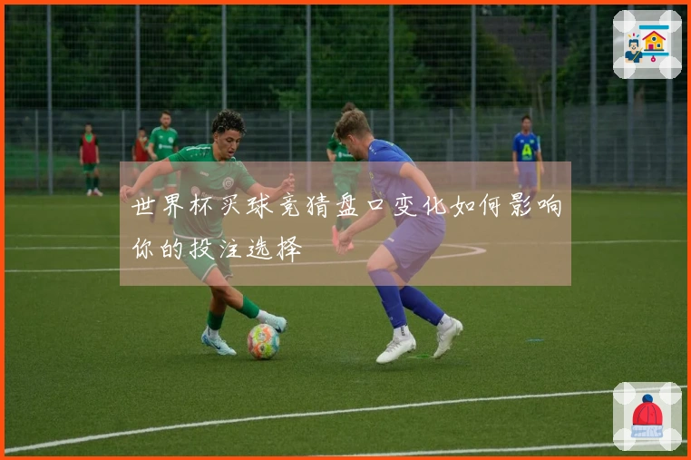 世界杯买球竞猜盘口变化如何影响你的投注选择