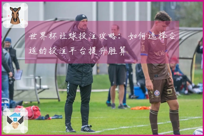 世界杯让球投注攻略：如何选择合适的投注平台提升胜算