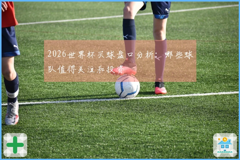 2026世界杯买球盘口分析：哪些球队值得关注和投资