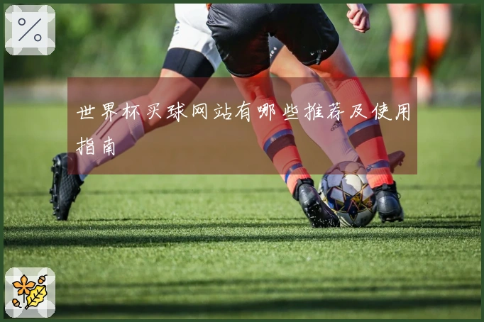 世界杯买球网站有哪些推荐及使用指南