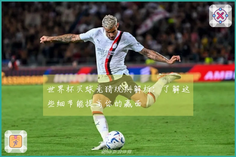 世界杯买球竞猜规则解析：了解这些细节能提高你的赢面