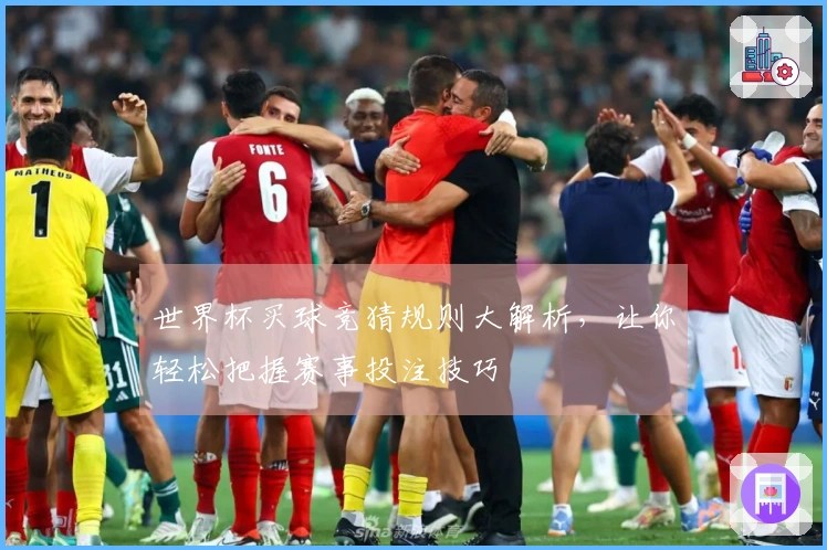 世界杯买球竞猜规则大解析，让你轻松把握赛事投注技巧