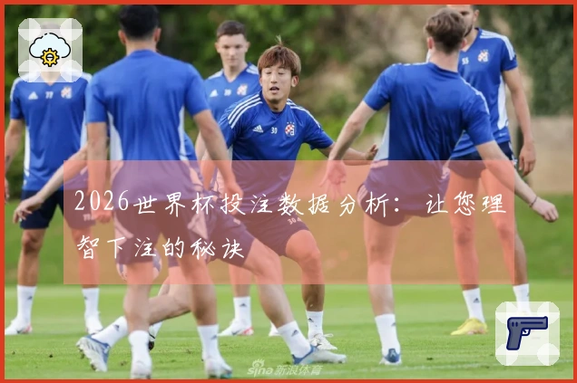 2026世界杯投注数据分析：让您理智下注的秘诀