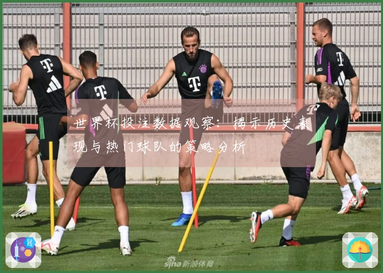 世界杯投注数据观察：揭示历史表现与热门球队的策略分析