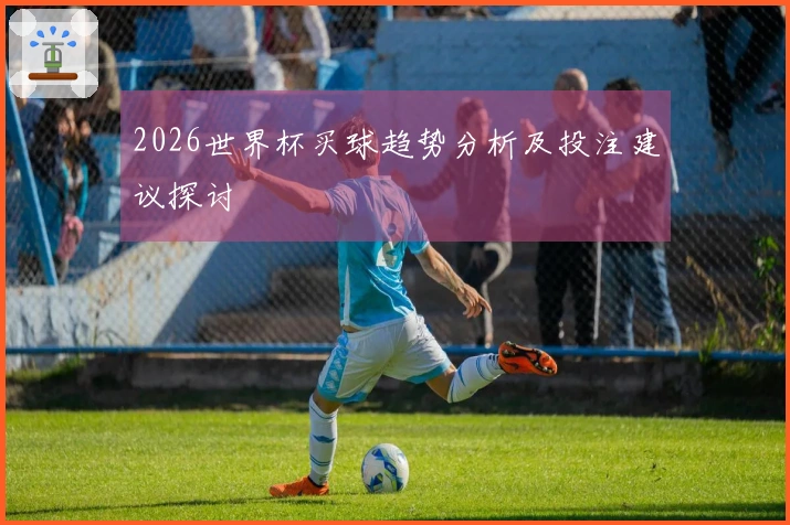 2026世界杯买球趋势分析及投注建议探讨