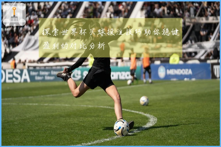 探索世界杯买球投注技巧助你稳健盈利的对比分析