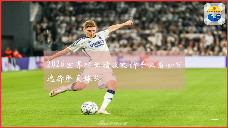 2026世界杯竞猜攻略新手必看如何选择胜负球队