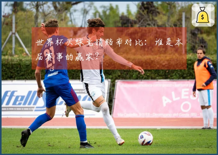 世界杯买球竞猜赔率对比：谁是本届赛事的赢家？